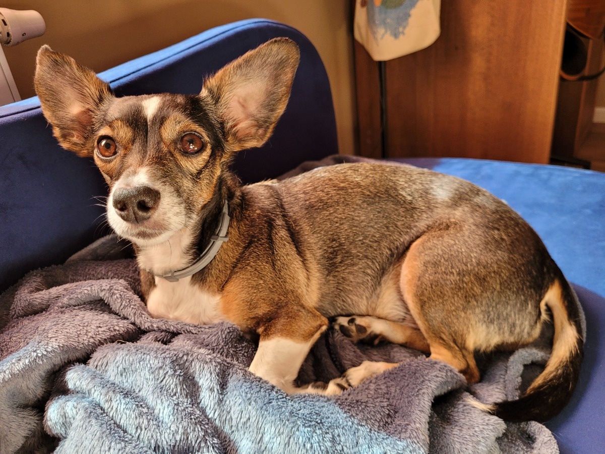 a765930c-2930-4d9e-9c80-b0801a0af8da