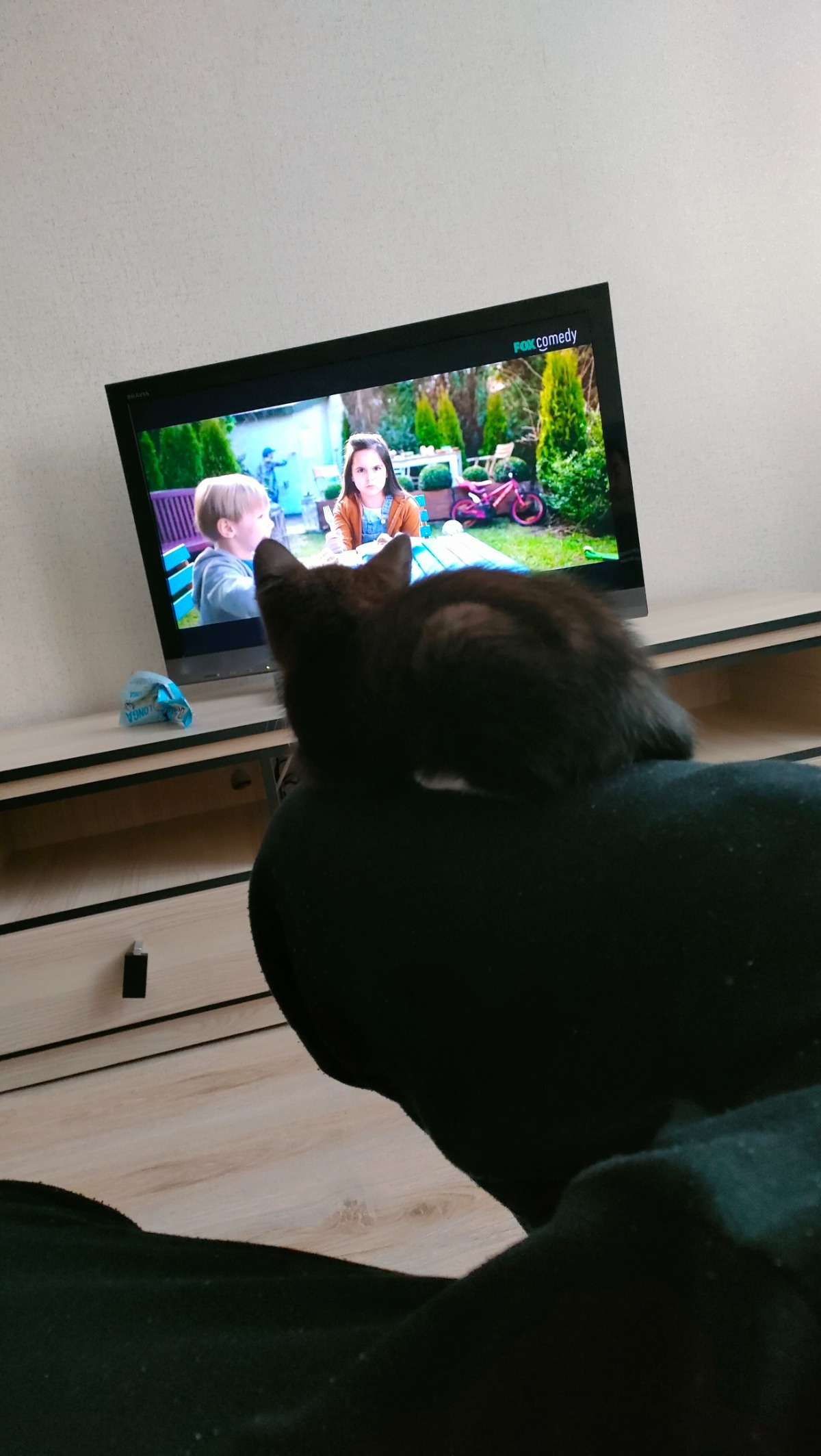 91f5113c-65e6-4c72-af41-da292aea5540