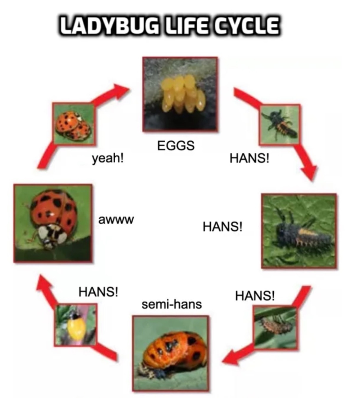 0418fc78-21e7-443c-9cdf-dea2969465ae