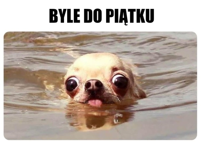 b51afd4e-f10d-413a-bb54-2815838e7e4c