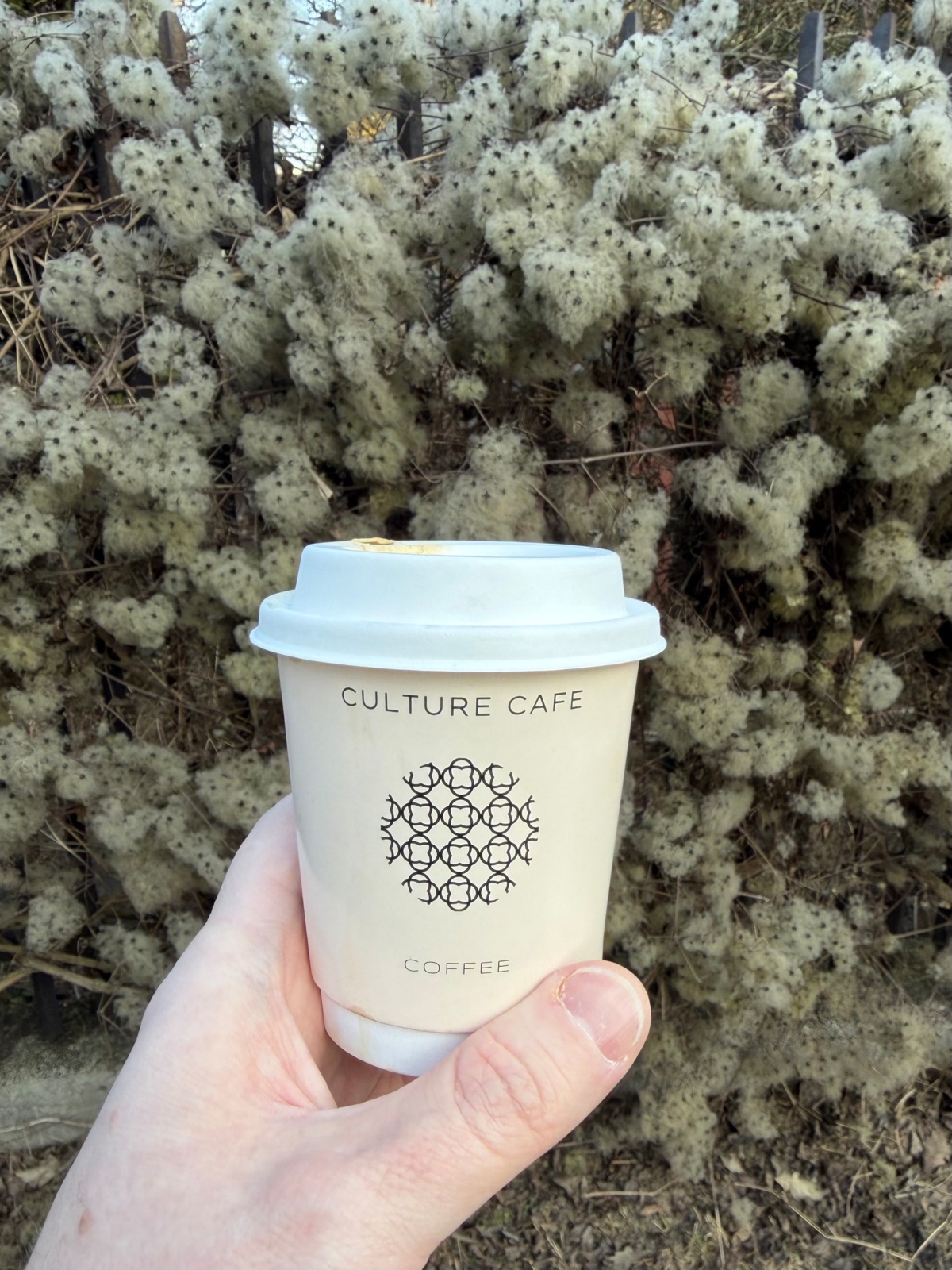 8e5d985d-f46e-425d-863d-59036fbc6f2a