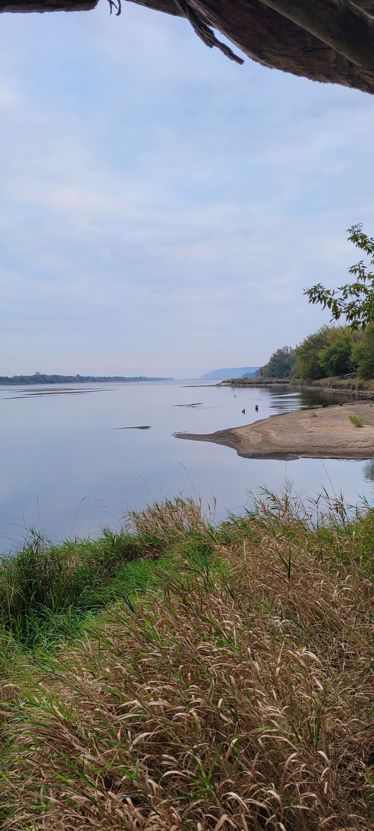 b1fe2cf9-2c4e-4ccc-9309-635a19239c69