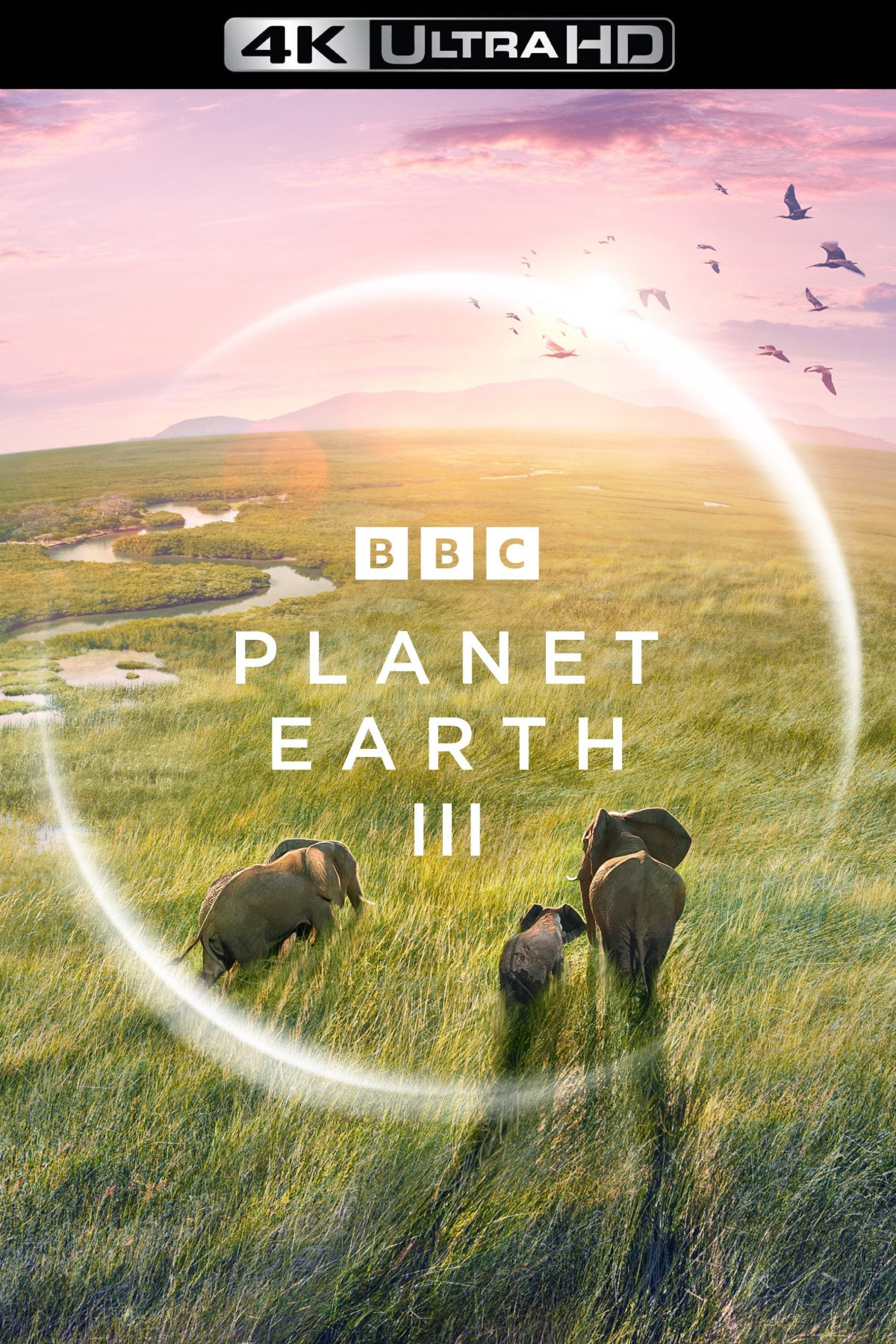 146b4fcf-cd00-4e05-b0cf-3ccc049277bc