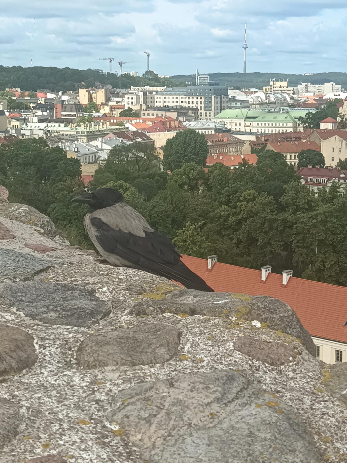 1c39289c-46d9-4bd7-87fe-044ff504a6ec