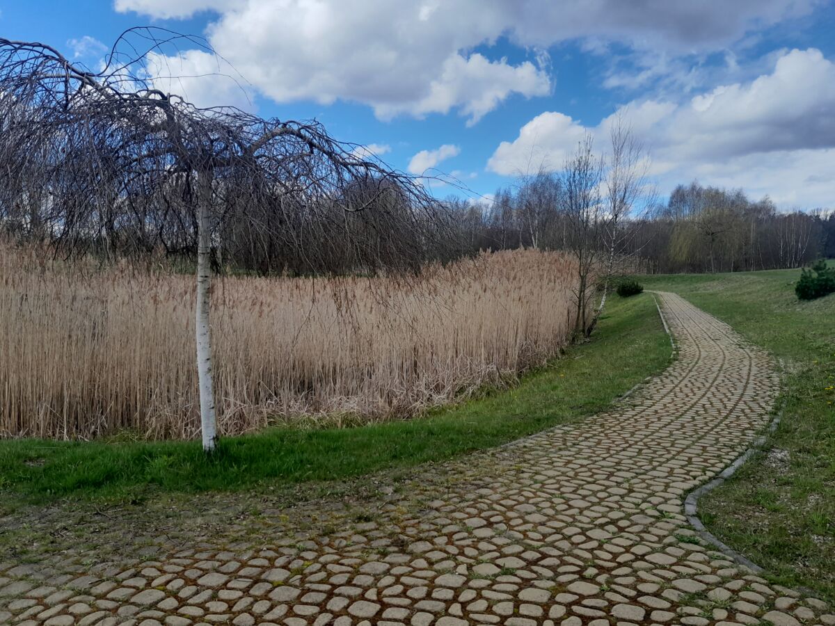 ba418017-ea3a-476a-ab55-fb040500d9bd