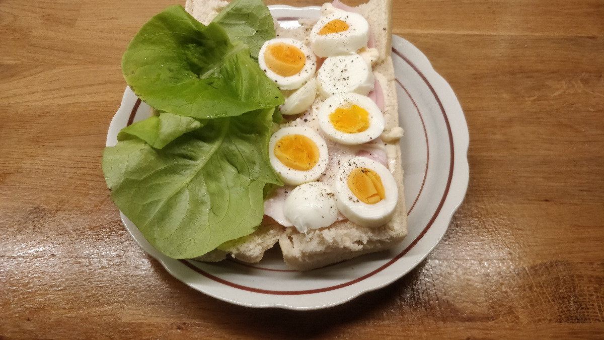 11bdf39b-3477-4c90-a5e5-5a8e12467706