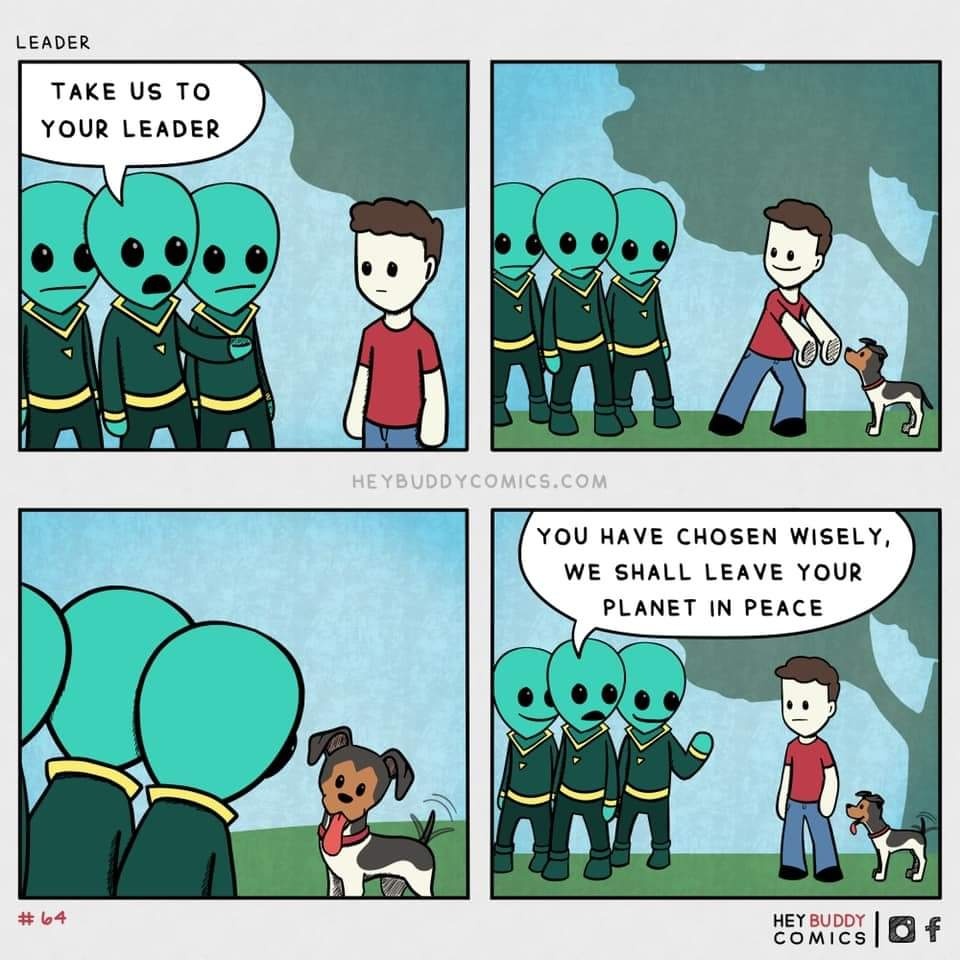 73e70920-6067-4924-ba6c-a2dd34755bad