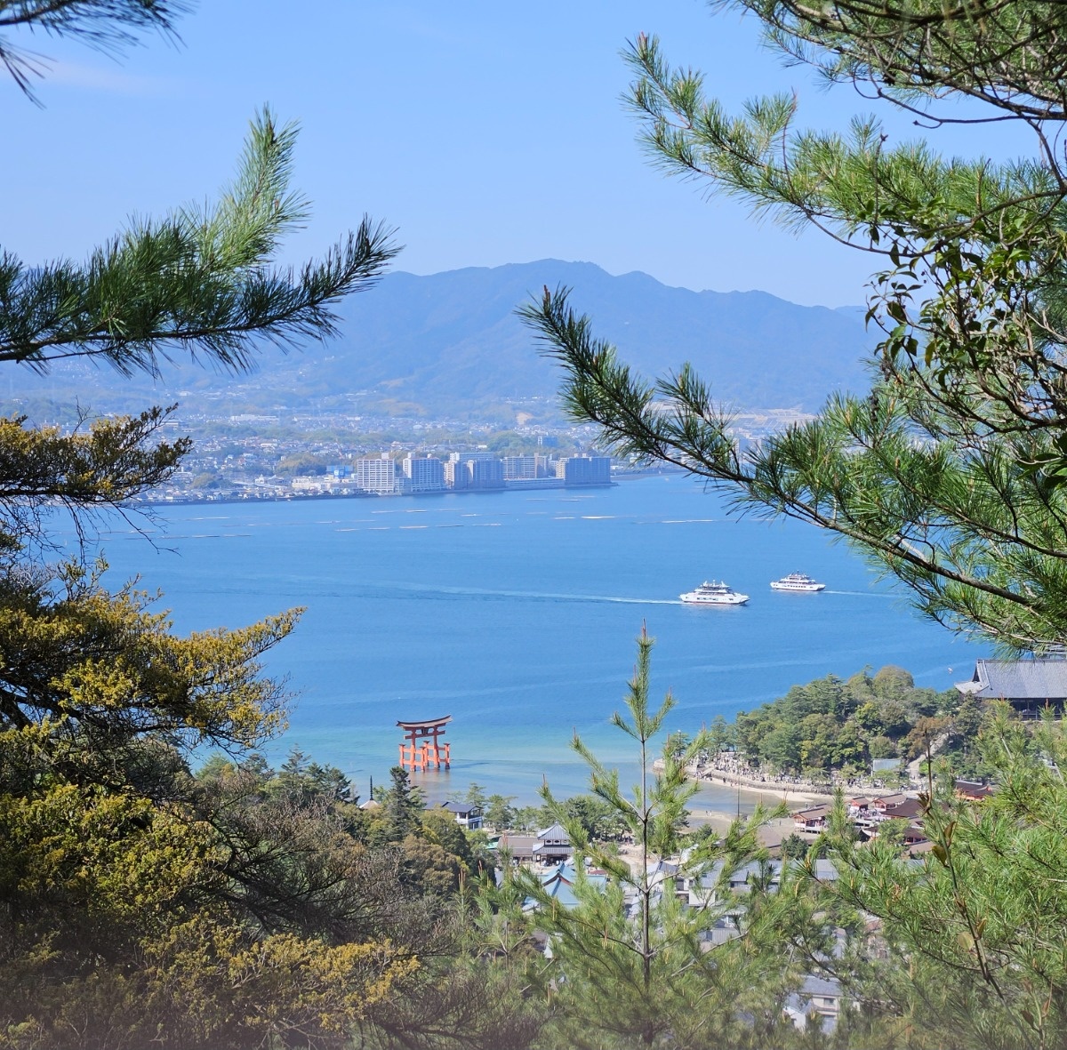 4725e6a2-a988-4657-8db4-87540a3ccc89