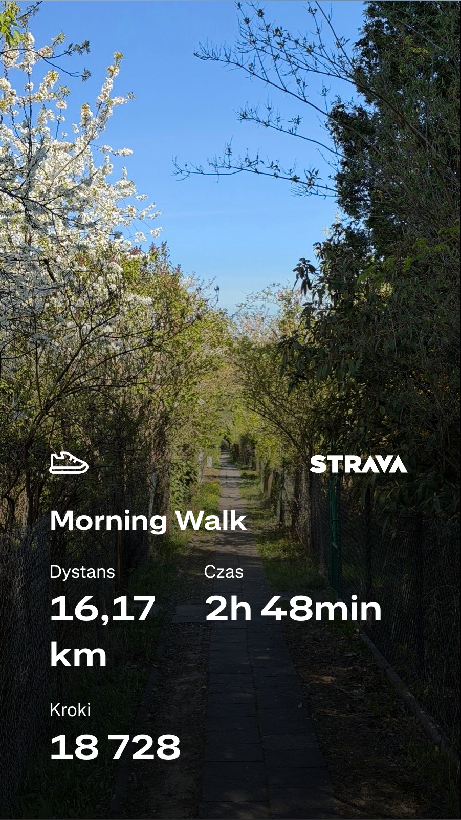 4ad3b19f-7ebd-4942-be6c-9ce207524e39