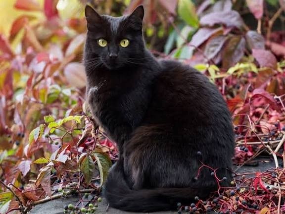 db887164-e3d1-4de2-803e-eb2ce3f88e77