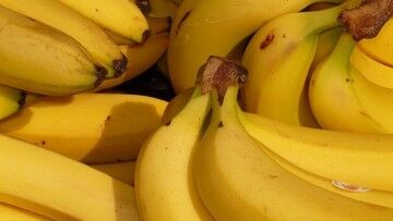 Czarnogóra. Policja przejęła ponad tonę kokainy ukrytą w transporcie bananów