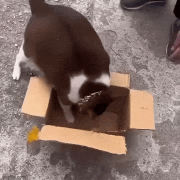 ac276004-d1e8-4587-a578-0d5a280eb411