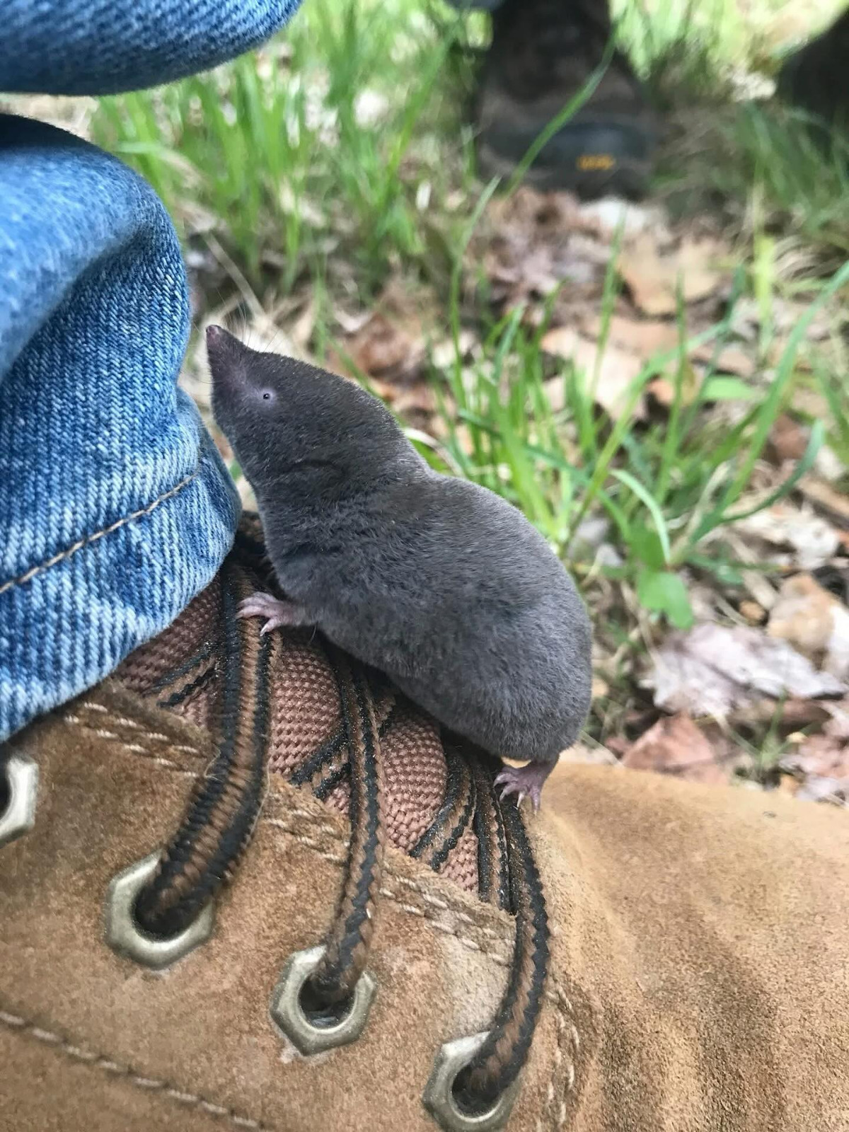 aec1dc01-9d70-4e1d-a734-ccdc93af2d9c