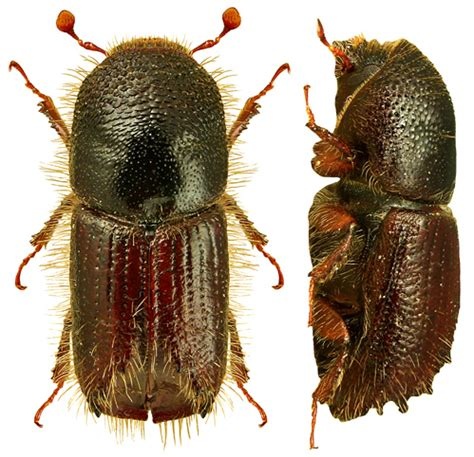 ab72f733-bfdd-40ec-ab9b-b2aaa2e7bff6