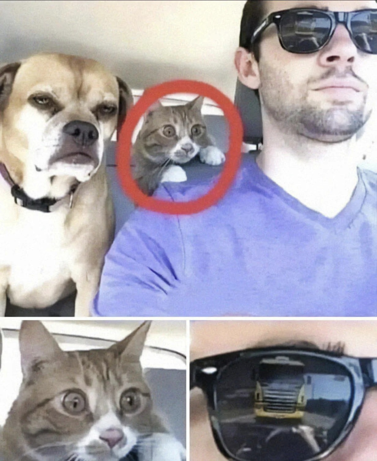 d7da56fd-1d3c-4a81-b5a0-c5f8da1e3807