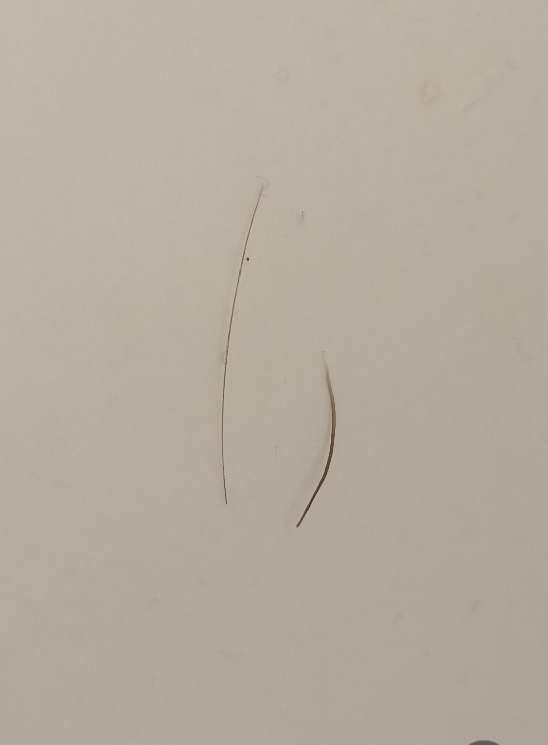 1dff596f-455a-4be1-9074-e57fa961c998