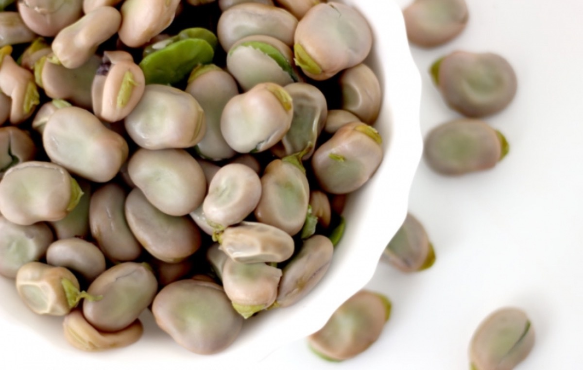 c9222fe8-1bc3-4807-9838-8448d67ba9a1