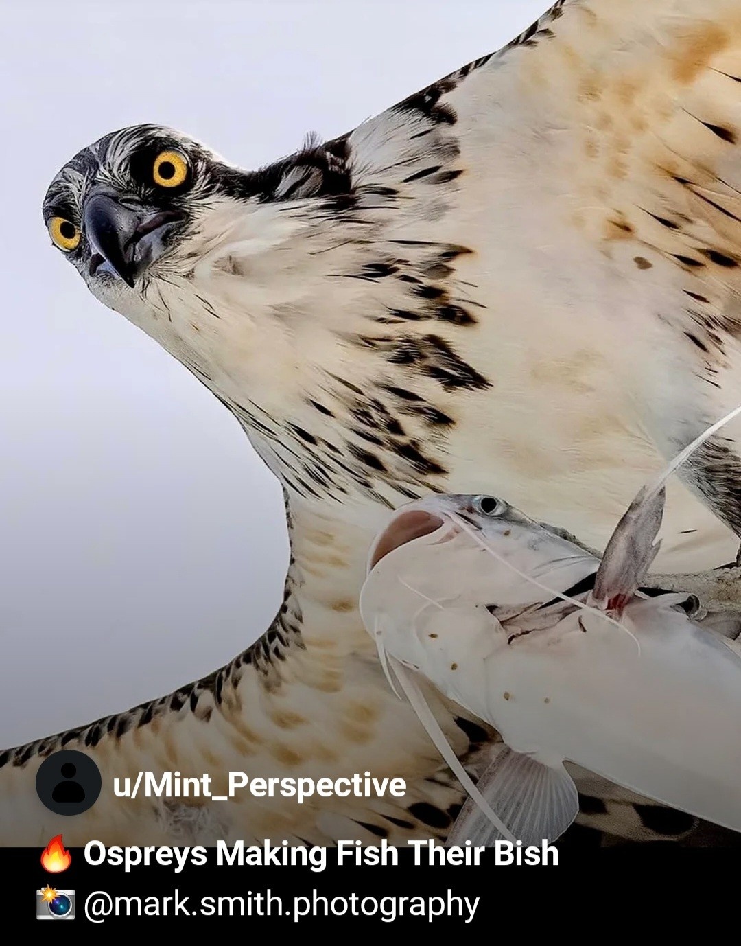 6efd8ee3-b8b3-46b0-afa6-a2b5789a7607