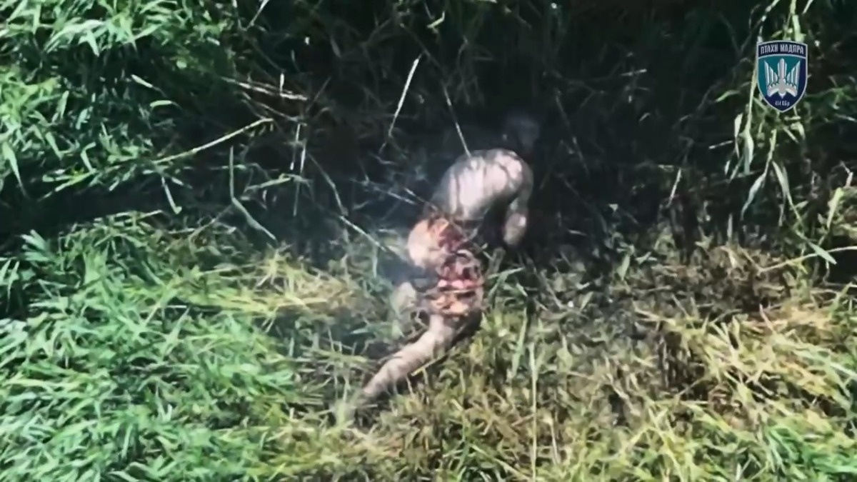 02d58ada-35da-4915-a09c-1cd5fc72b2ab