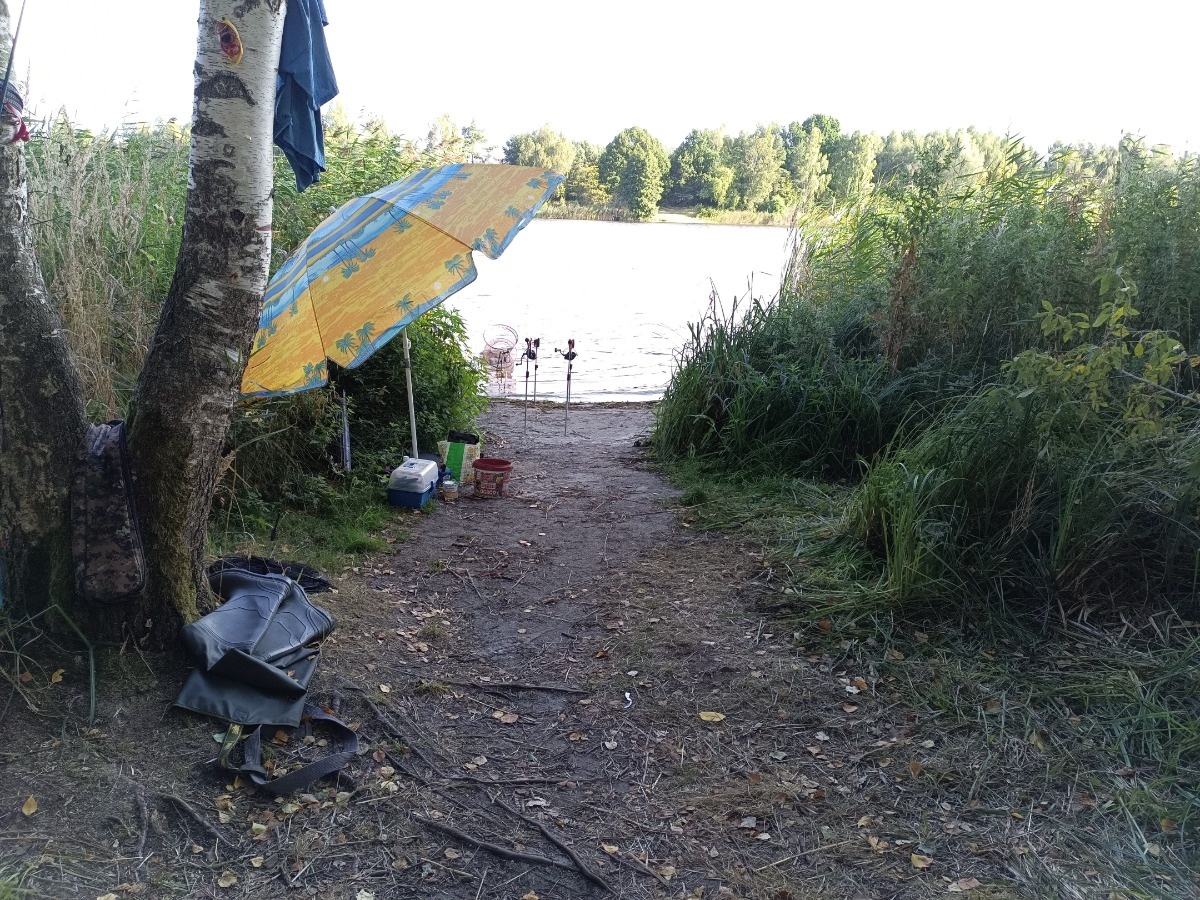 1f820765-90d0-4917-883a-34f11c62955a