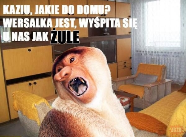 010d05ab-888e-48c0-9a4d-e39100c9fd51