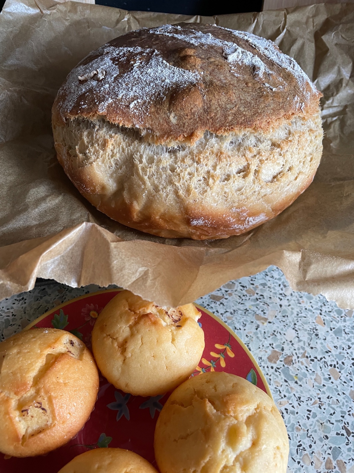 e5076f18-37c8-44dd-8028-a407ce93d08c