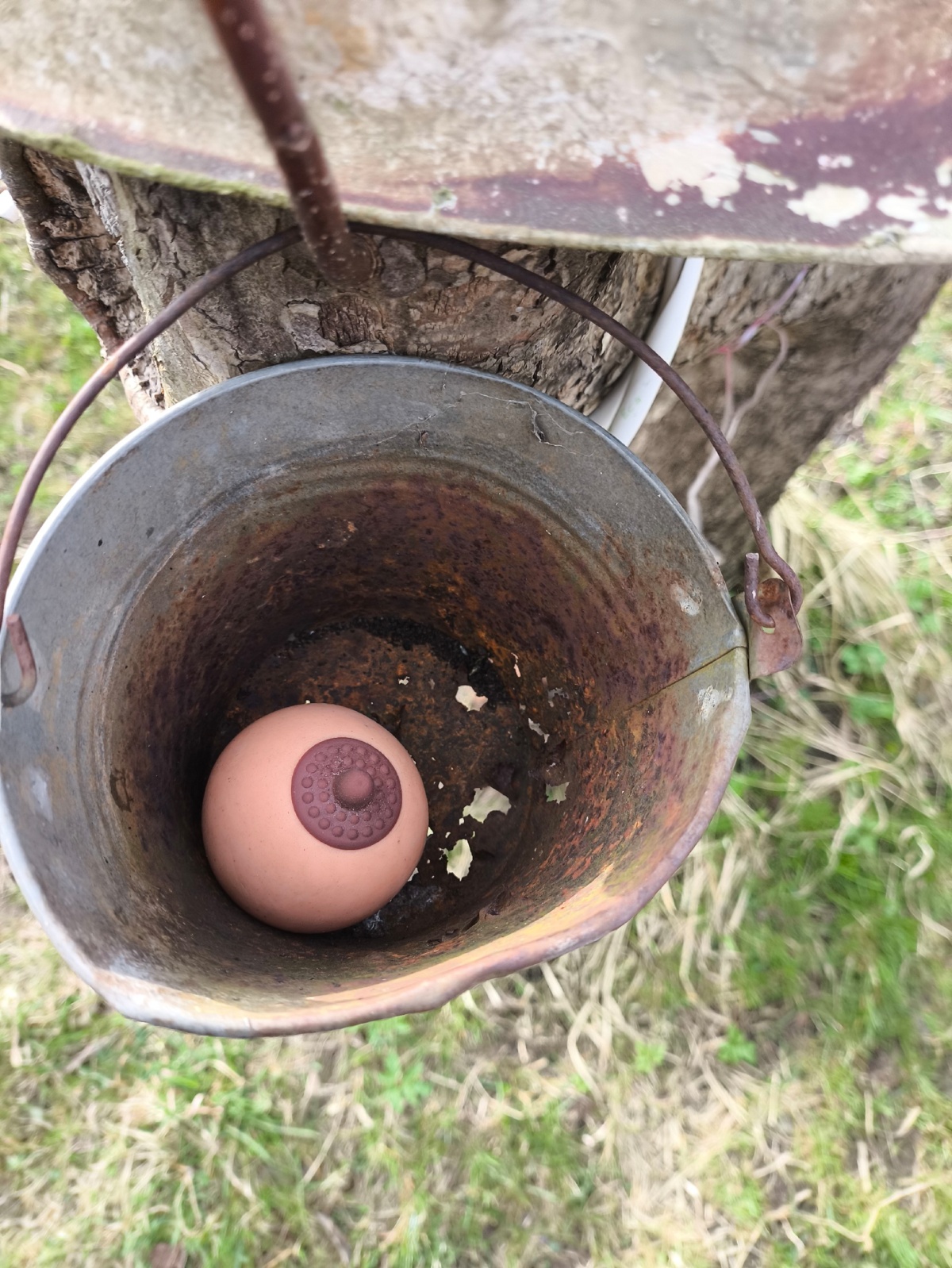 c734bbdb-8c37-49ba-aa5b-4baaec561573