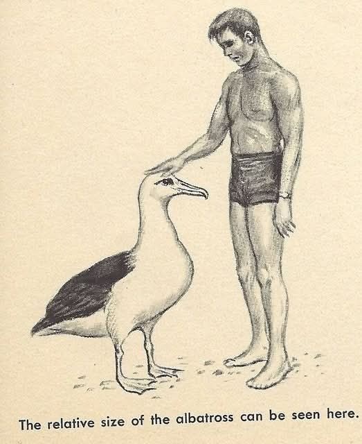 a6422050-8183-4934-98ea-688ae7b3d39a