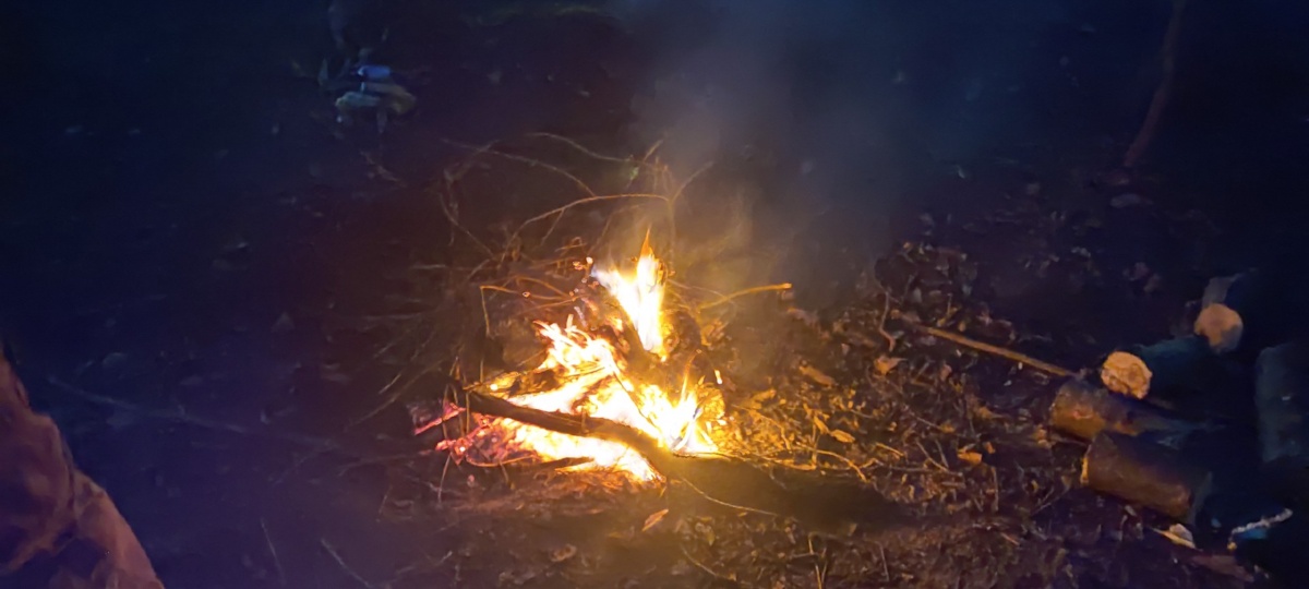 4d9337e6-9a5e-4293-a81f-d0a5b9a40e09