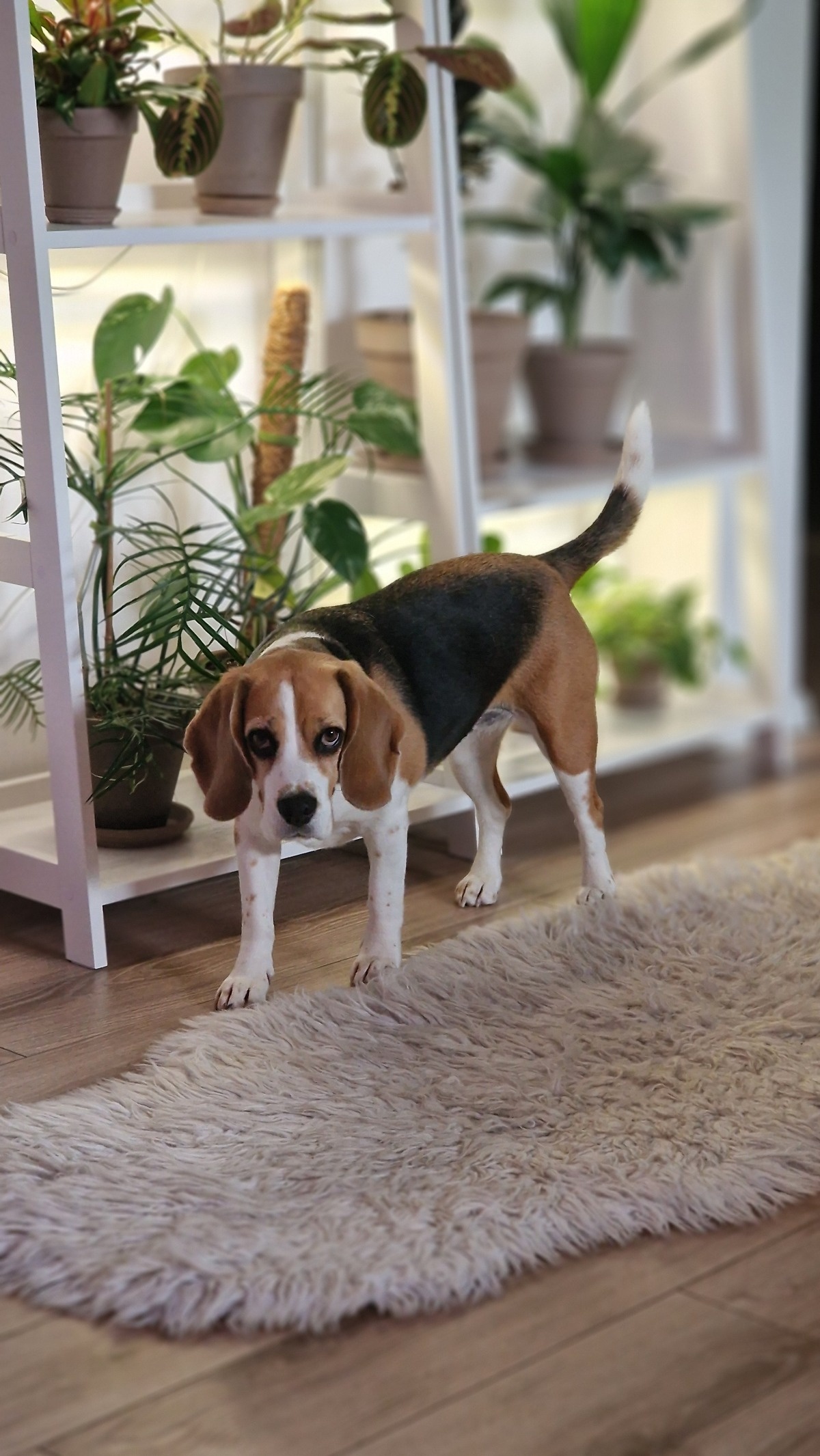 839b9a35-8af3-49c1-9250-f2202ba49b97