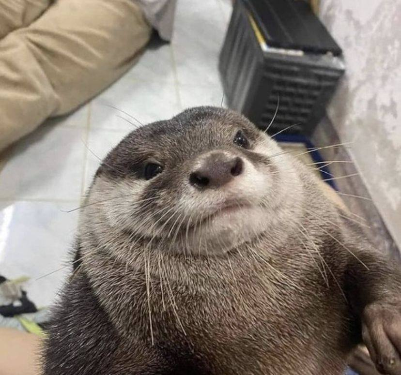 43b342f8-35dd-441b-9b64-1ac816e5f2ed