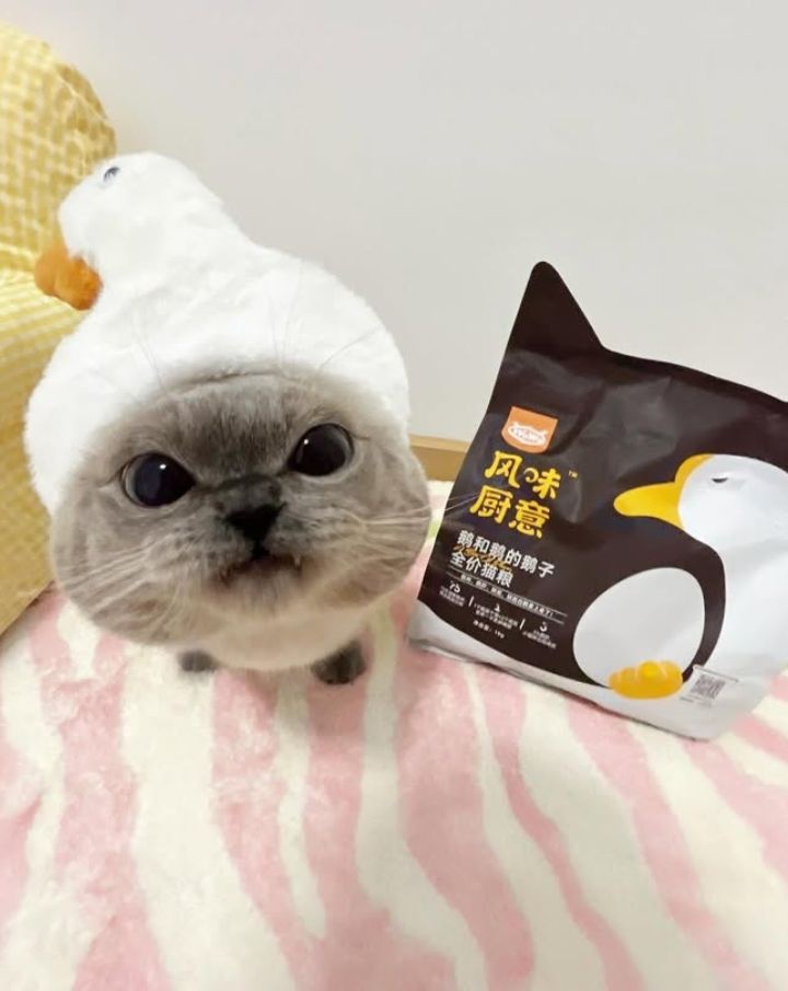 32f5d658-0c14-4abf-9fa3-9cfbaf513759