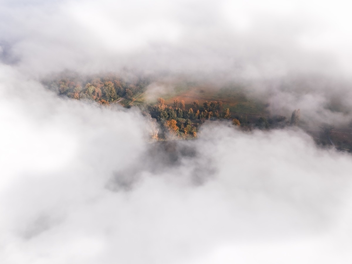 77d61c83-7702-438f-982e-09cf4d434606