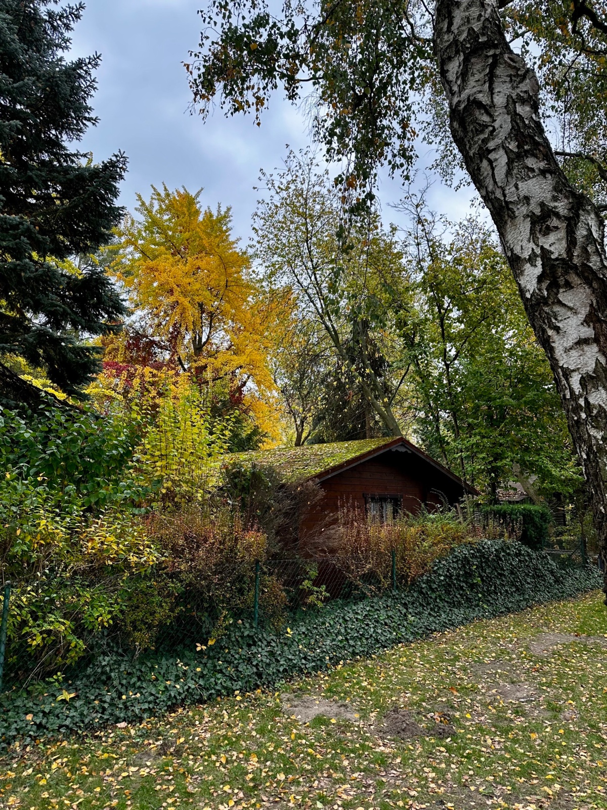 4f5b0c7d-e325-4919-b238-72bade6d5d69