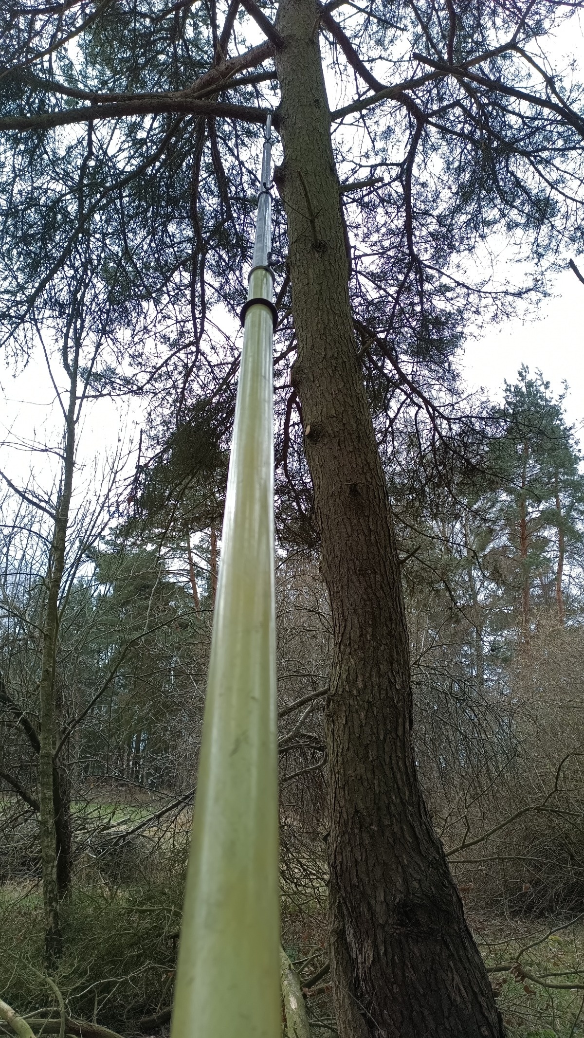 29b3c969-5796-4c20-8ed5-86f1f7402e82