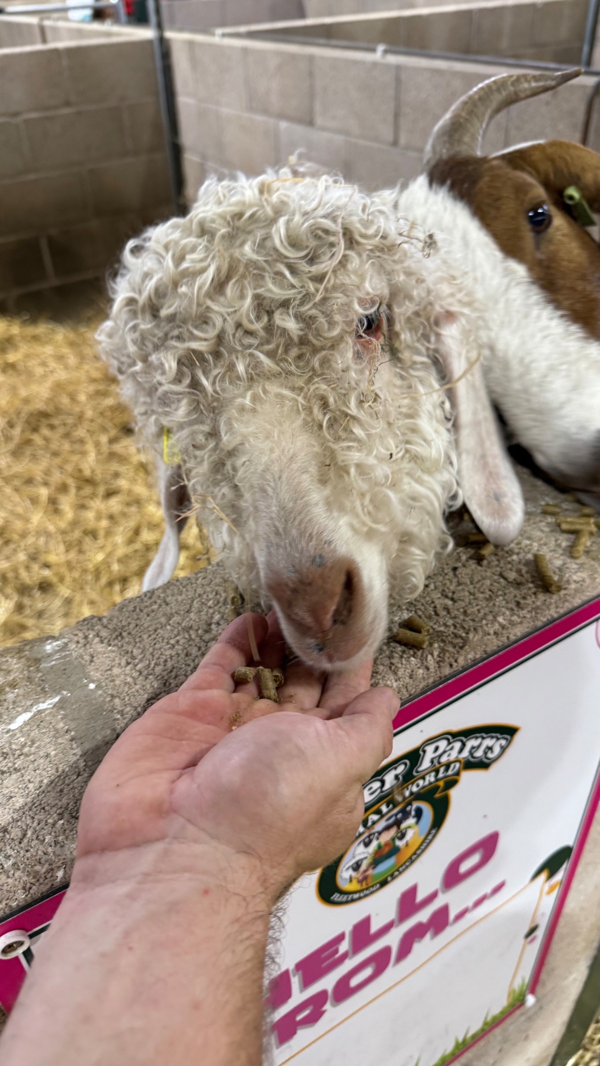 fb3ed67d-8a52-4b64-85d5-ee63bb6acaa8