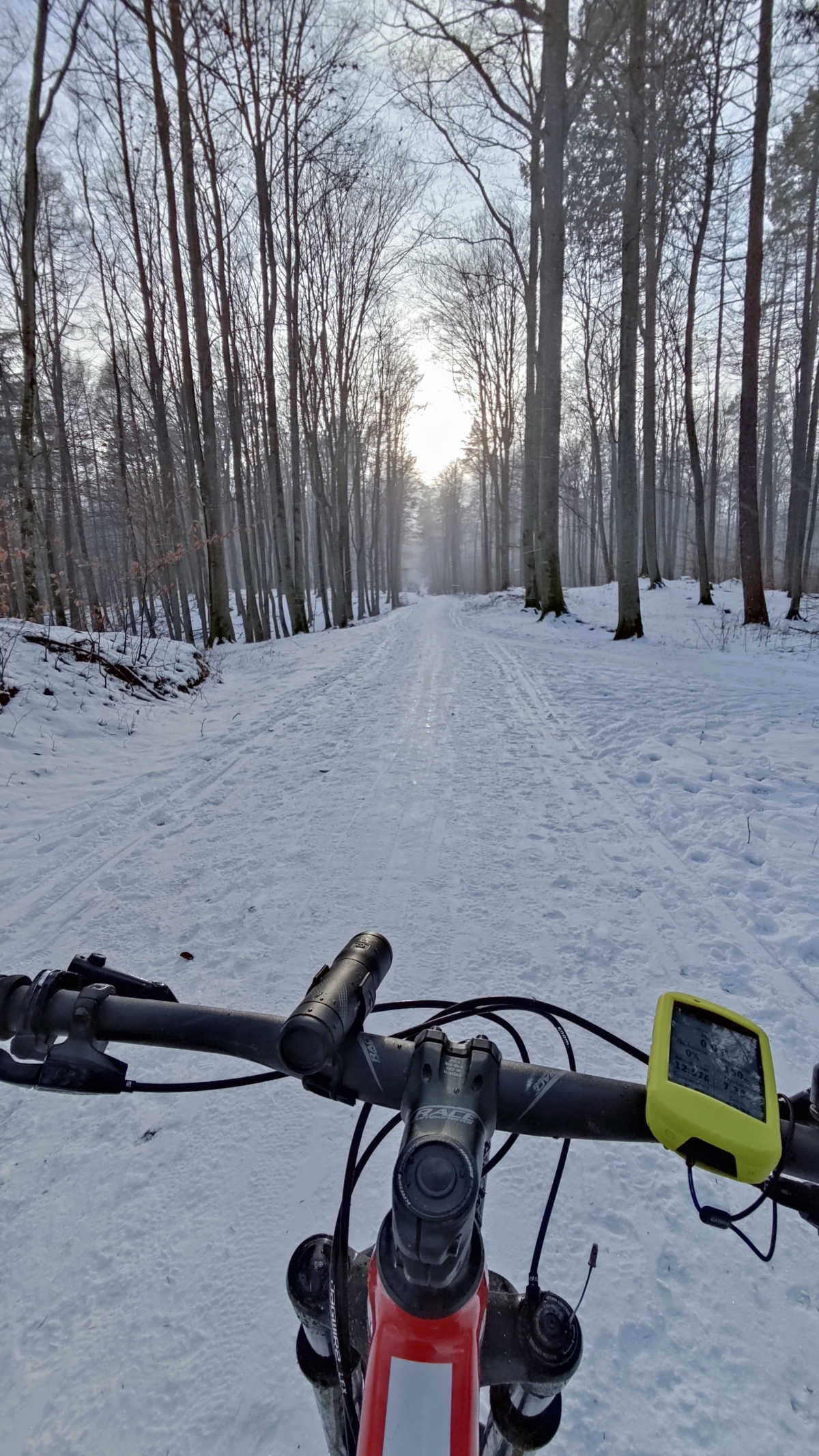 d42e405a-c6f8-4586-ab0a-15901b94ee69