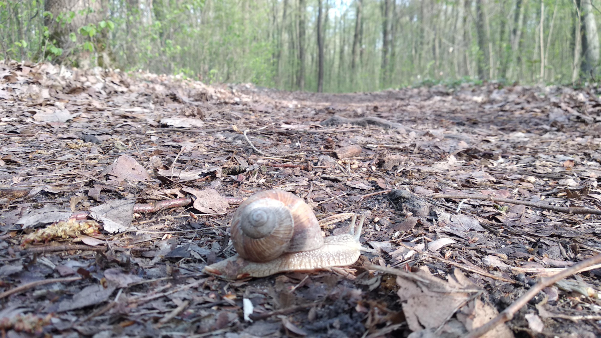 21464421-bc4a-41d6-9f8f-2349695eef4b