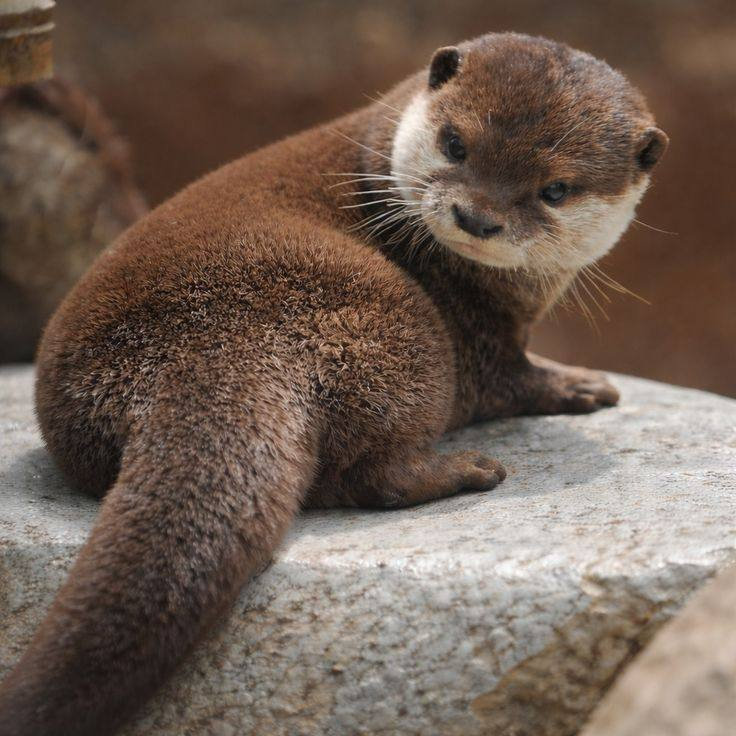 50f68ed4-c363-4330-af77-a4d203363c66