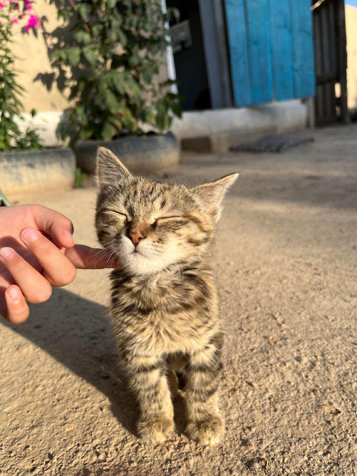 4d4490ee-952b-4a6b-9914-632634b0bd2c