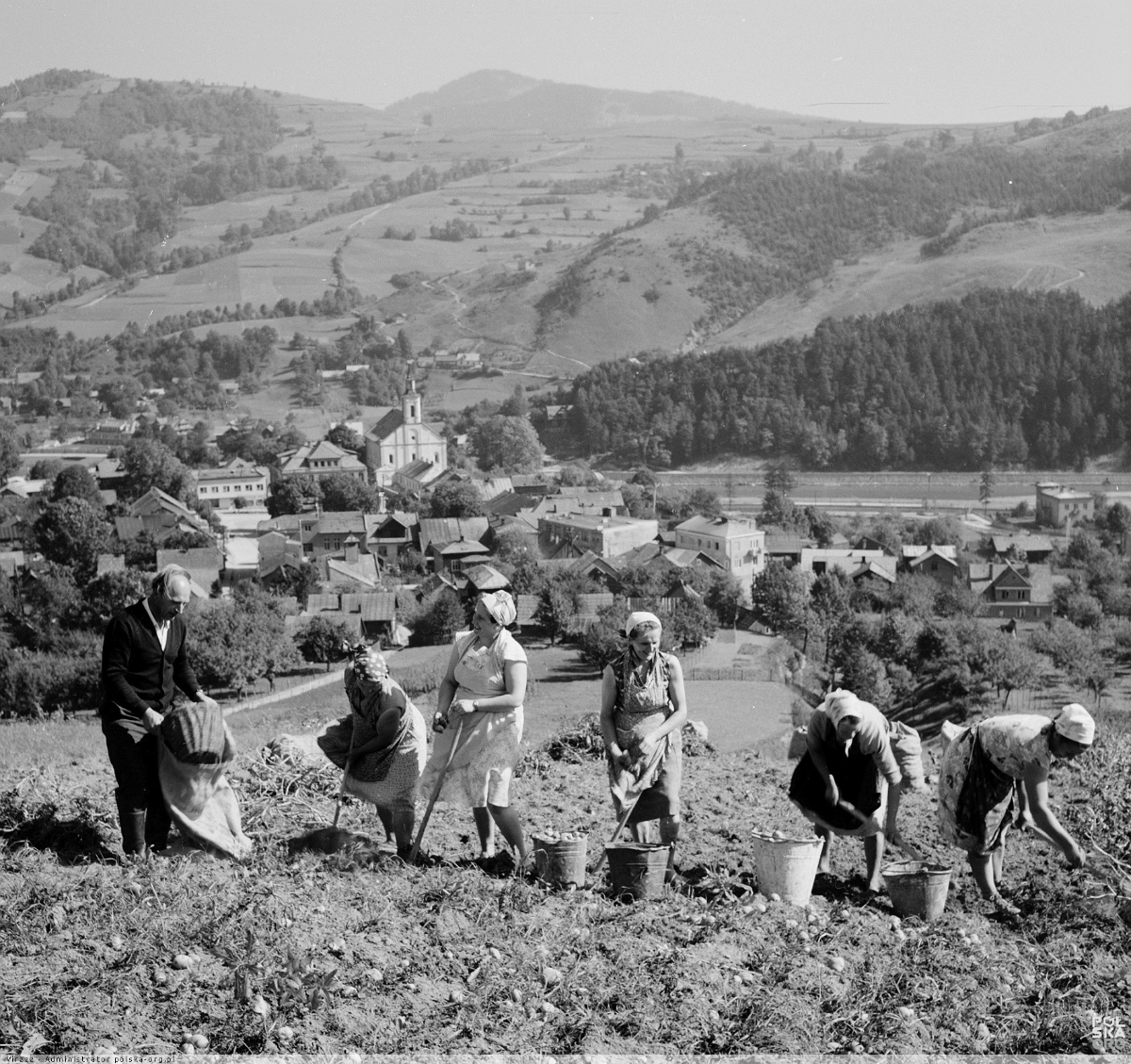 d06fec02-bd27-4cf7-8ab2-a127123cf11b