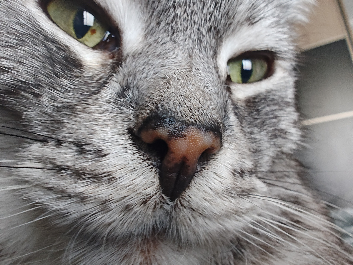 ce5b15f5-e647-4b05-aac4-9c7f7aea4726