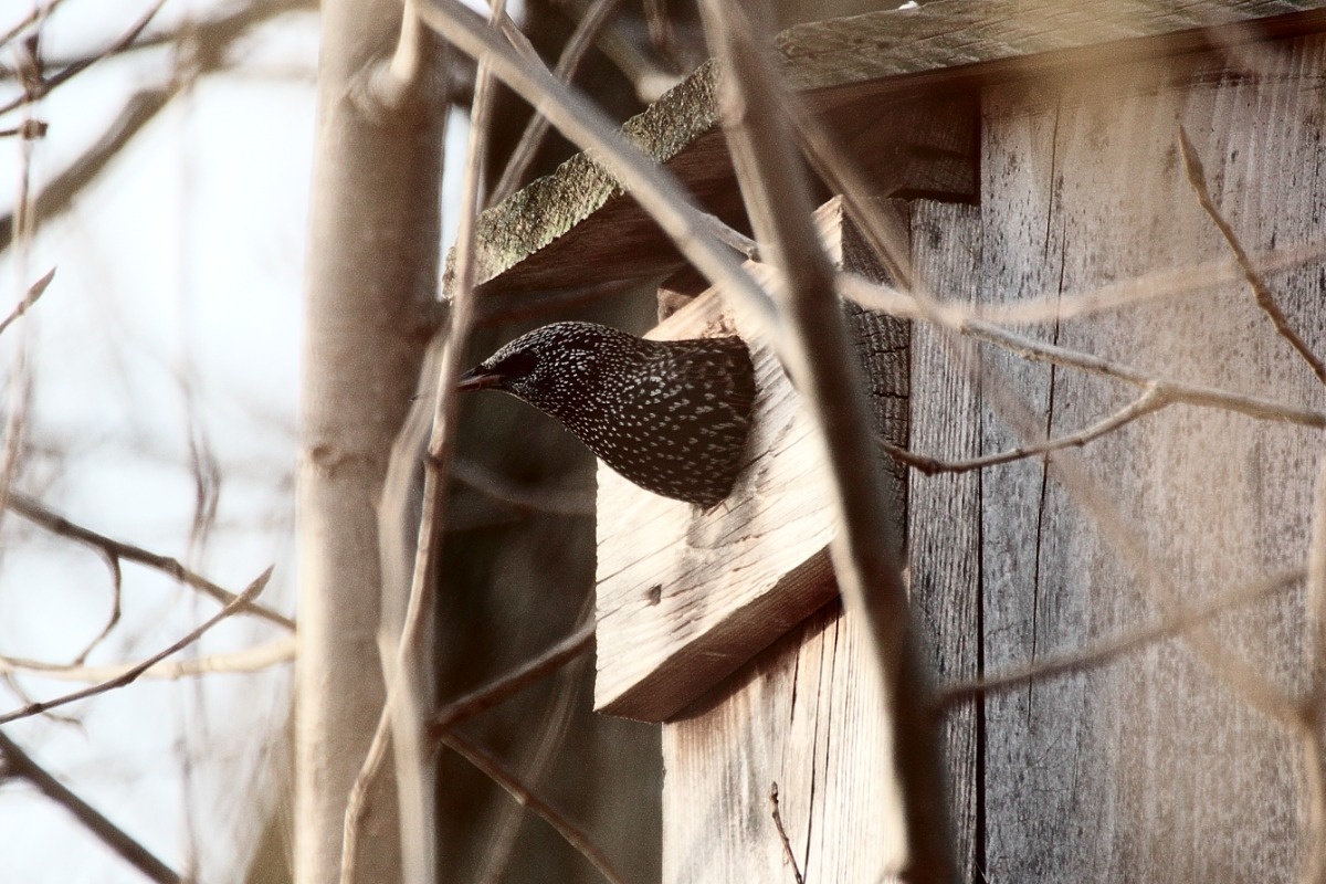 0256006d-10a8-41bd-a68b-54e997faf681