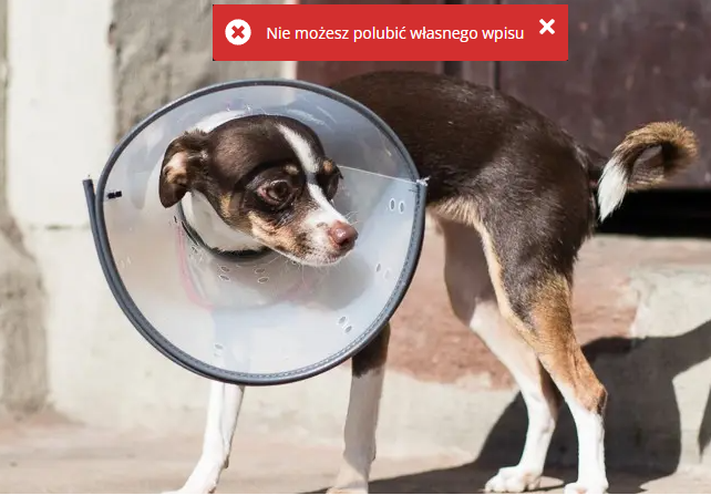 2dc5d7ea-b50f-489c-b147-10750220a960