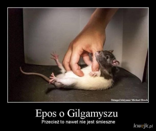 89bcbe33-f1bf-47b1-9936-1136c864d03e