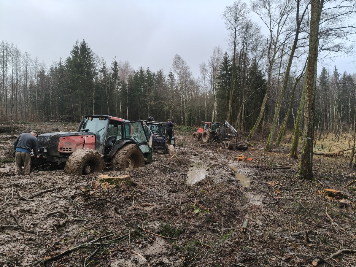 141f0741-70d8-4bac-8c15-cfd2ff6946f3