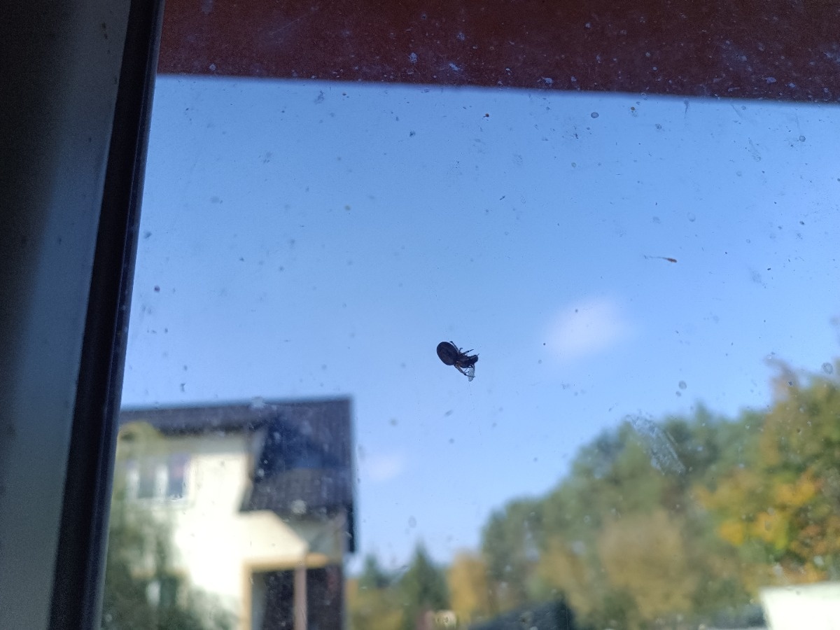 b84cf724-2382-4e94-9c3c-7a458d9fd648