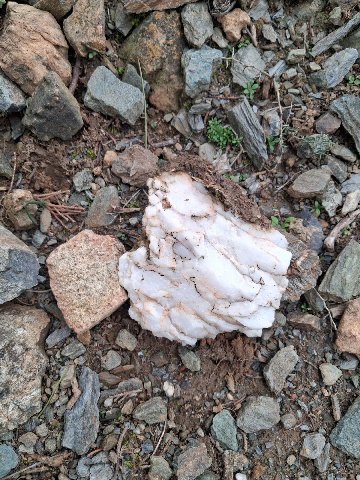 7841722e-f8bb-4399-b050-5d112e26f3a4