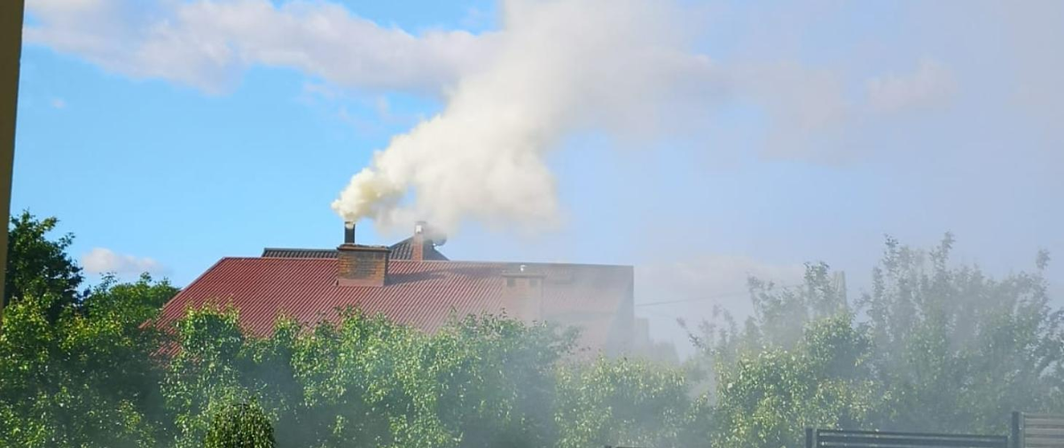 3dcf0010-01f9-48d3-bb26-1f5a3561ee48