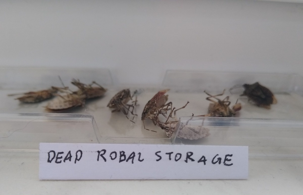 1ba12a64-c108-4ca9-8bf2-5947413ce3c1